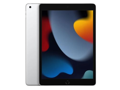 10.2" Планшет Apple iPad 10.2 2021, 256 ГБ, Wi-Fi + Cellular, серебристый